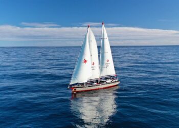 Brut Champagne Is 150 Years Old. Thank Madame Pommery