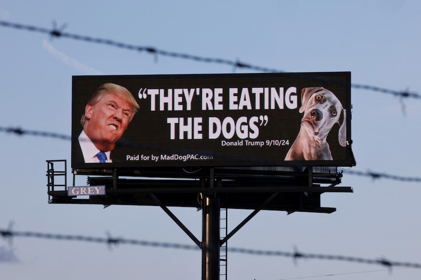 A billboard shows Donald Trump's face, a dog, and the words 'they're eating the dogs'.