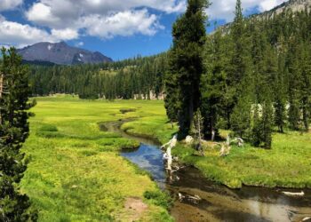 California Congressmembers Jim Costa, John Garamendi, and Jared Huffman Lead Legislation to Permanently Conserve Privately Owned Working Forestlands