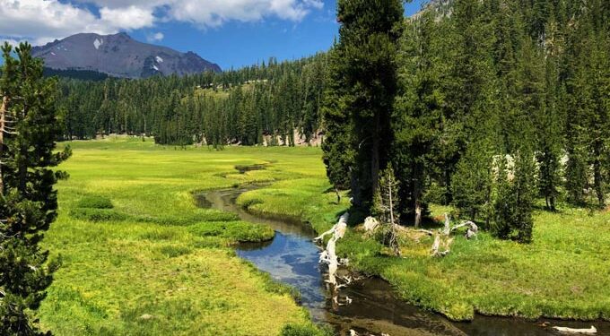 California Congressmembers Jim Costa, John Garamendi, and Jared Huffman Lead Legislation to Permanently Conserve Privately Owned Working Forestlands