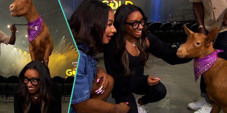 Simone Biles Surprised With Actual Goat At Gold Over America Tour With Jordan Chiles