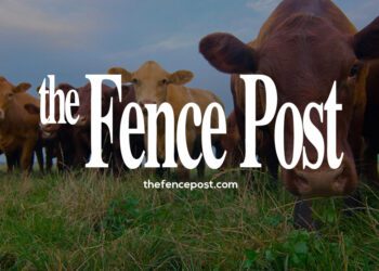 Colorado’s Canterbury, LeValley to lead PLC board