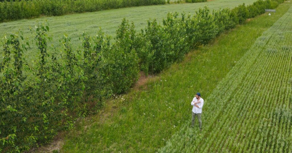 This Ancient Practice Could Help Revitalize America’s Corn Belt – Mother Jones