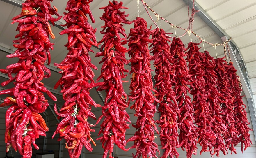  Ristras of freshly harvested Chimayo red chile are hanging to dry in Fidel Martinez's shed.