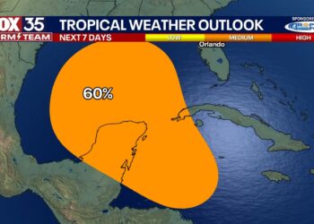 Tropical depression likely in Gulf of Mexico next week: National Hurricane Center