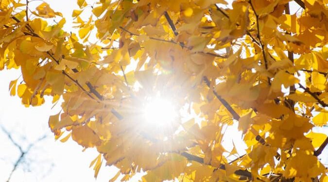 Autumn Sun and a Few Storms Here, Still Watching the Tropics