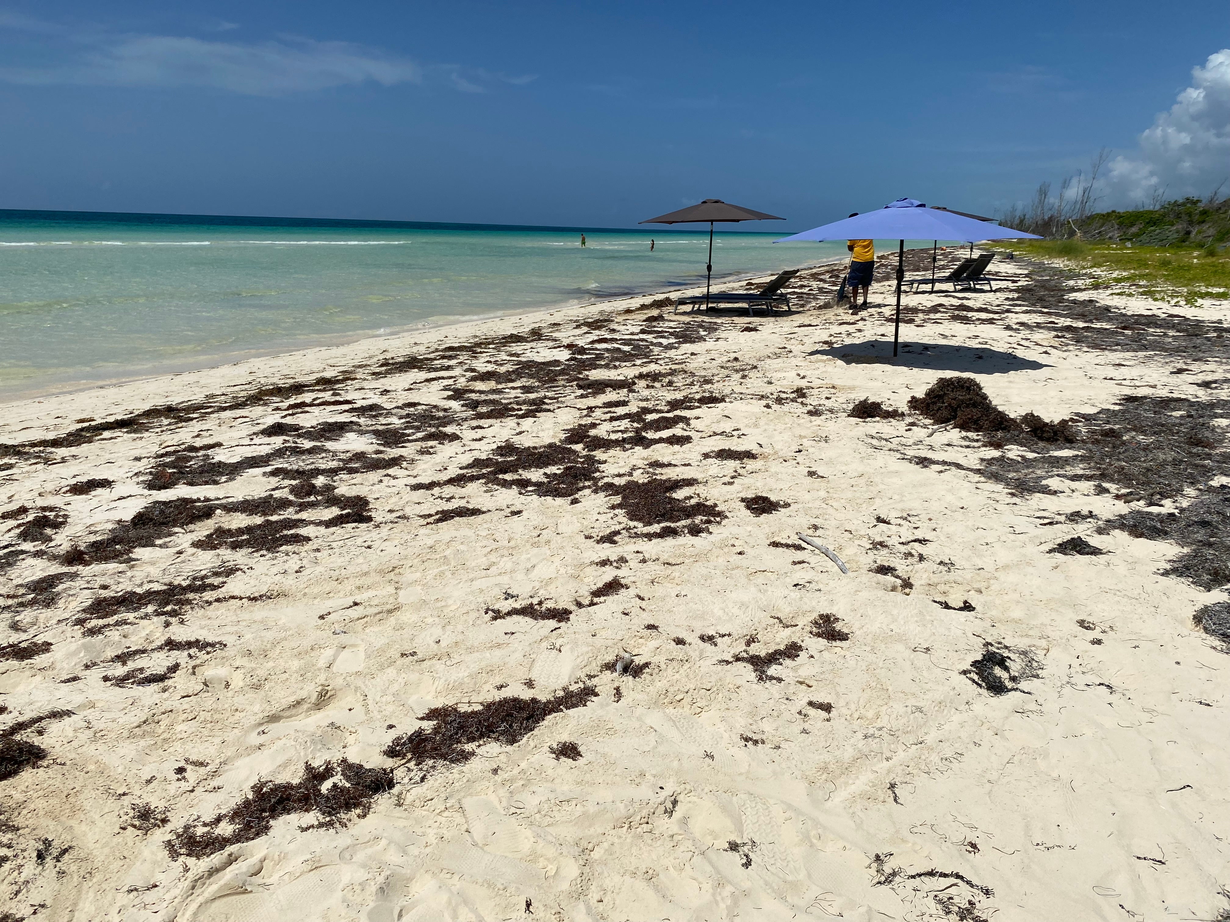 Deserted Gold Rock beach in Grand Bahama (Roz McKenzie/PA)