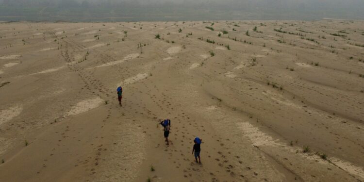 Latin American drought sparks severe forest fires across region
