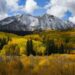 10 facts about aspen, Colorado's fascinating tree of fall | Lifestyle