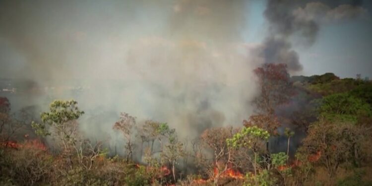 Record number of fires rage across South America