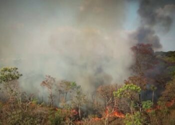 Record number of fires rage across South America