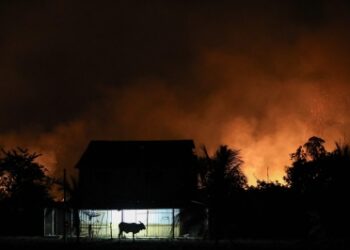 Amazon rainforest loses vast area the size of Germany and France to deforestation, unleashes wildfires, carbon emissions at alarming scale