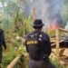 Two Honduran National Civil Police officers participate in the incineration of a coca leaf plantation detected in a nature reserve in the municipality of Patuca, Olancho department, on May 15, 2023.