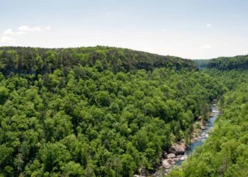 The surprising truth about nature in Alabama