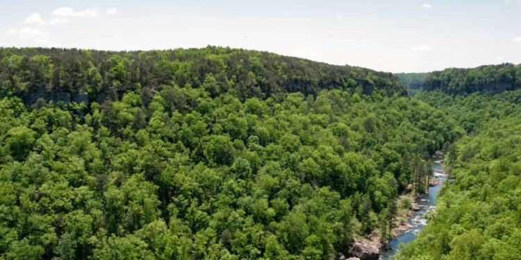 The surprising truth about nature in Alabama