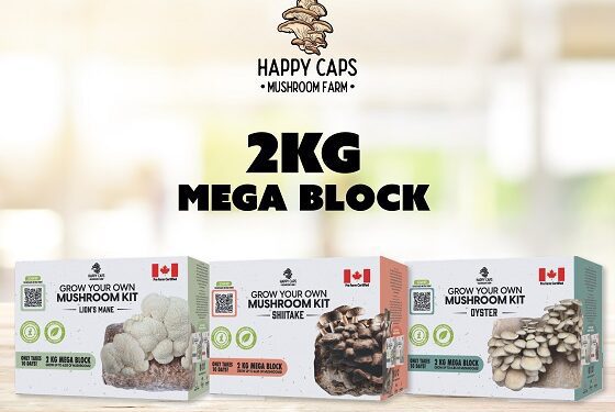 Red Light Holland Announces Expansion of Happy Caps 2kg "Mega Block" Mushroom Home Grow Kits to 82 Costco Stores Across Canada