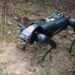 Researchers develop robot dog to combat highly invasive species wreaking havoc across the globe: 'A serious threat'