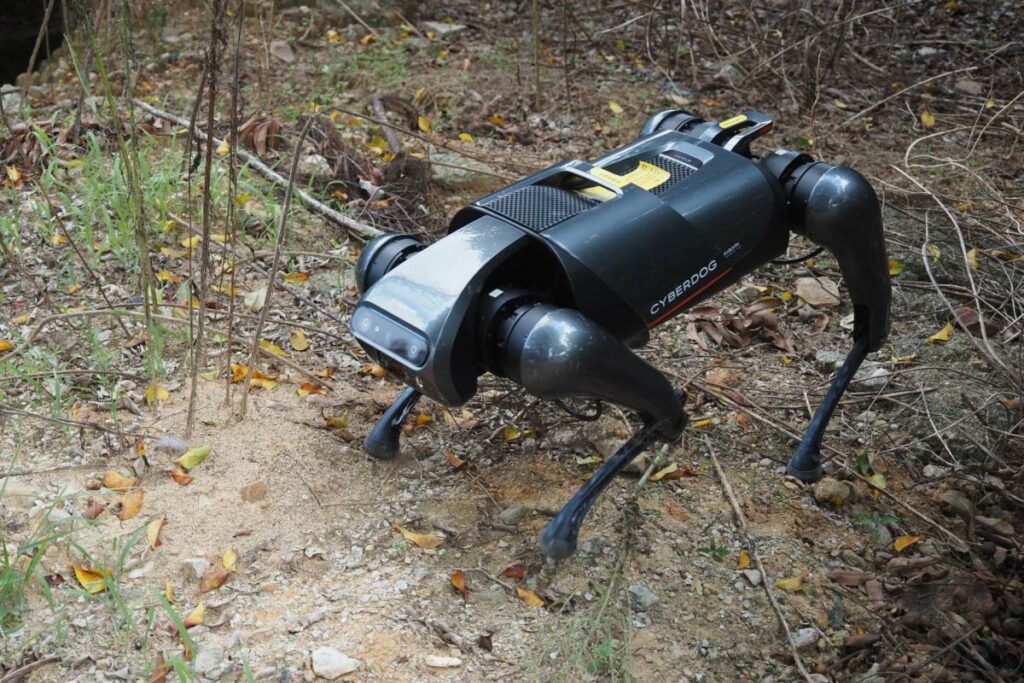 Researchers develop robot dog to combat highly invasive species wreaking havoc across the globe: 'A serious threat'