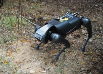 Researchers develop robot dog to combat highly invasive species wreaking havoc across the globe: 'A serious threat'