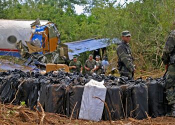 ICE's Clandestine Sting Gone Wrong