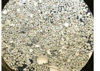 Ice age clues and advanced climate modeling shed light on how El Niño weather patterns might change