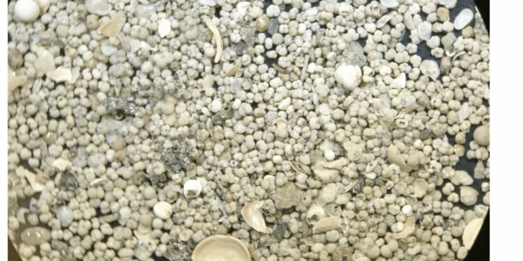 Ice age clues and advanced climate modeling shed light on how El Niño weather patterns might change