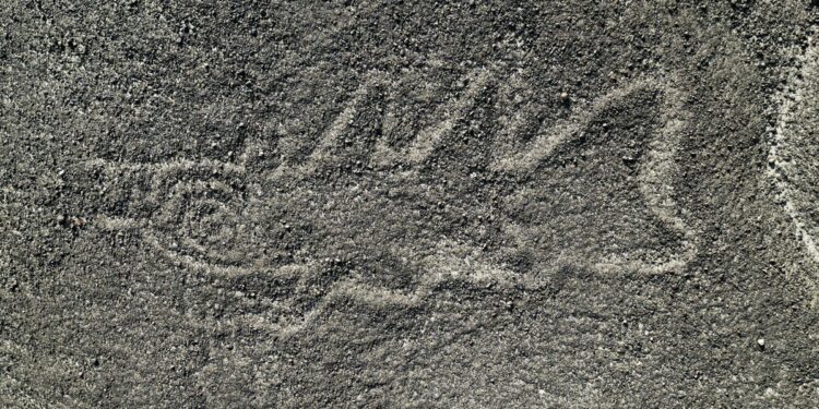 Japan research team newly finds over 300 geoglyphs in Peru's Nazca