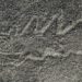 Japan research team newly finds over 300 geoglyphs in Peru's Nazca