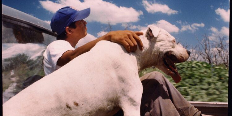 Argentina’s Lisandro Alonso to Direct Sequel to His Lauded ‘La libertad’ (EXCLUSIVE)