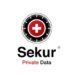 Sekur Private Data Ltd. Announces Latin America and Caribbean Expansion Targeting Over 4 Million Businesses Market