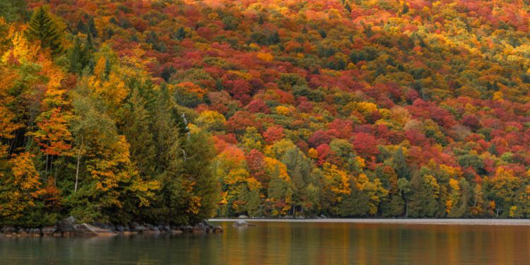 Discovering the Best Fall Foliage in the US: A Seasonal Guide