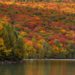 Discovering the Best Fall Foliage in the US: A Seasonal Guide