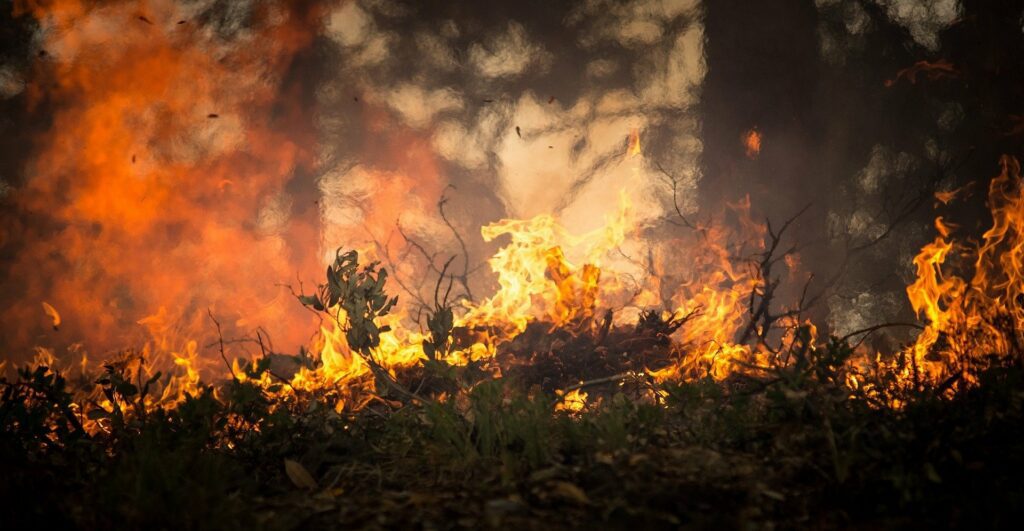 Research shows heat, drought and fire risk are increasing in South America