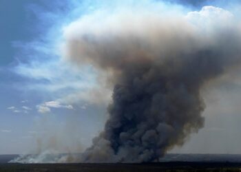 This is how much the fire risk in South America has increased in recent decades