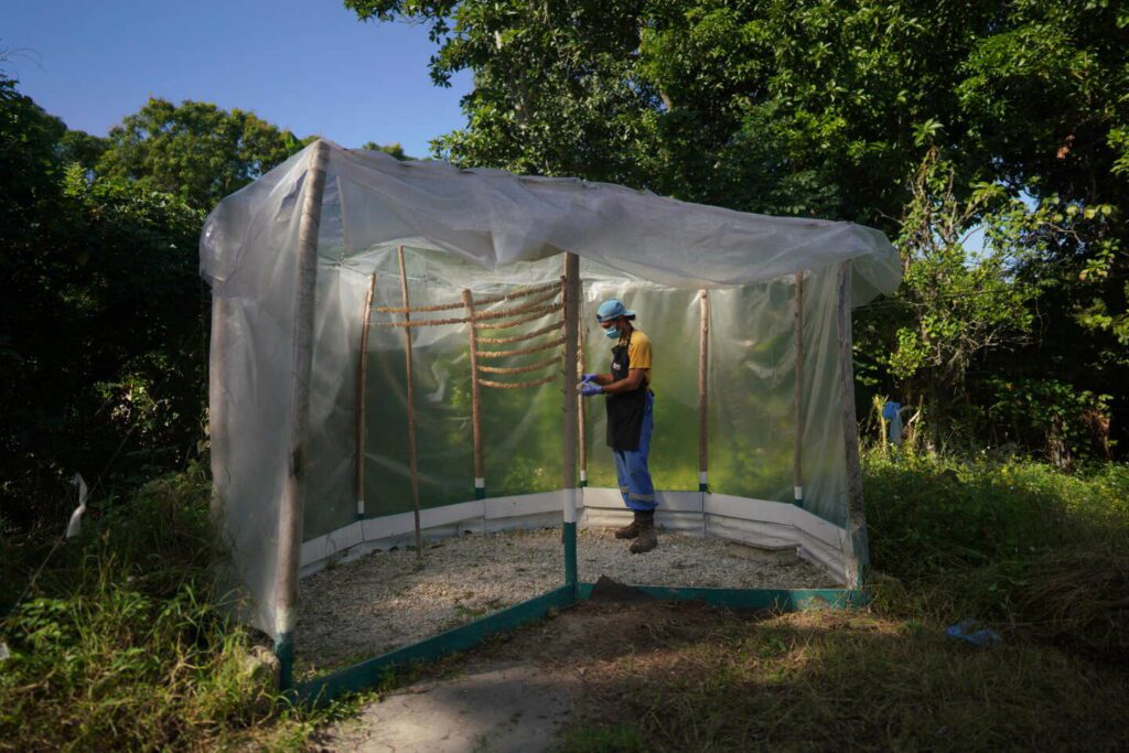 Cubans are 'looking for food every day, and now water'