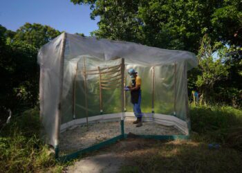 Cubans are 'looking for food every day, and now water'