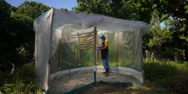 Cubans are 'looking for food every day, and now water'