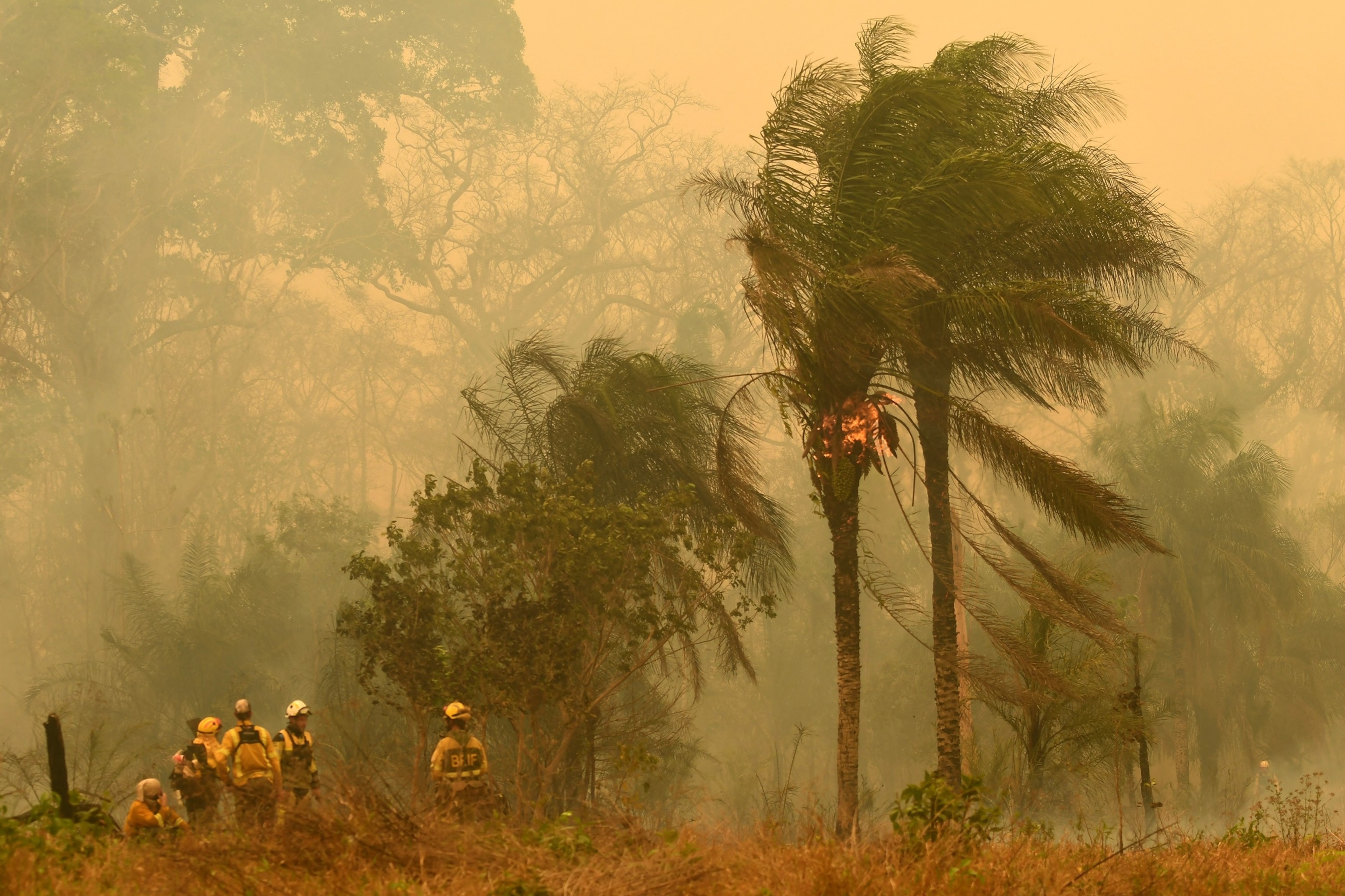 PHOTO: Spanish firefighters stand next to a burning tree during a wildfire in Concepcion, Boliva, on Sept. 24, 2024. 