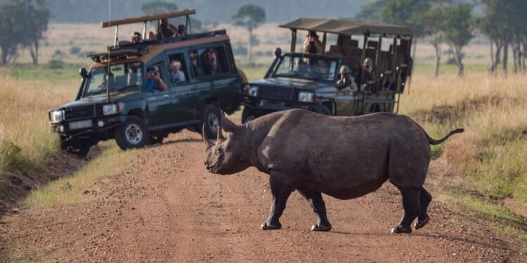 5 Incredible Nature-Inspired Travel Adventures