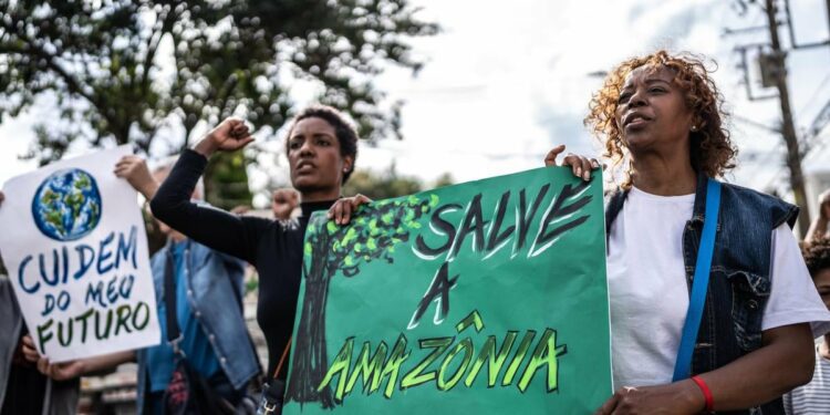 Brazil’s Turn to Ratify Landmark Environmental Treaty
