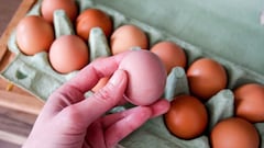 Various studies on egg consumption have come out with mixed results regarding exactly how many you can safely eat each week. Here are WHO’s guidelines.