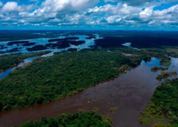 Guyana positioning itself as a global powerhouse for biodiversity – Pres. Ali