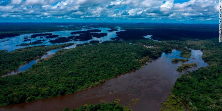 Guyana positioning itself as a global powerhouse for biodiversity – Pres. Ali