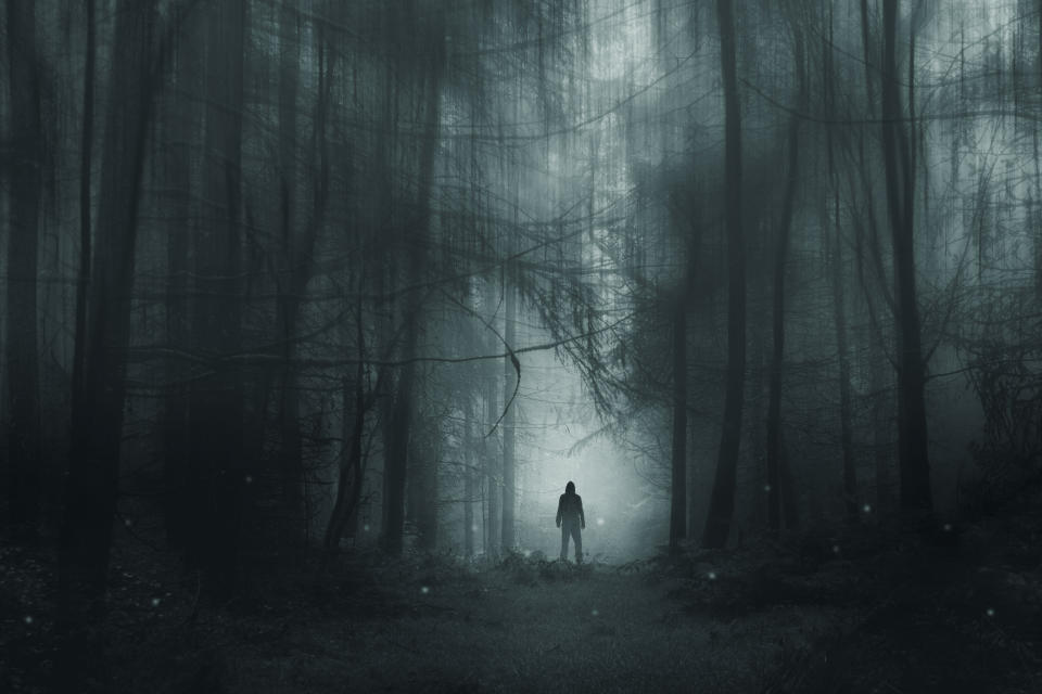 A person stands alone in a foggy, dense forest. The scene is eerie and mysterious, with dim light filtering through the trees