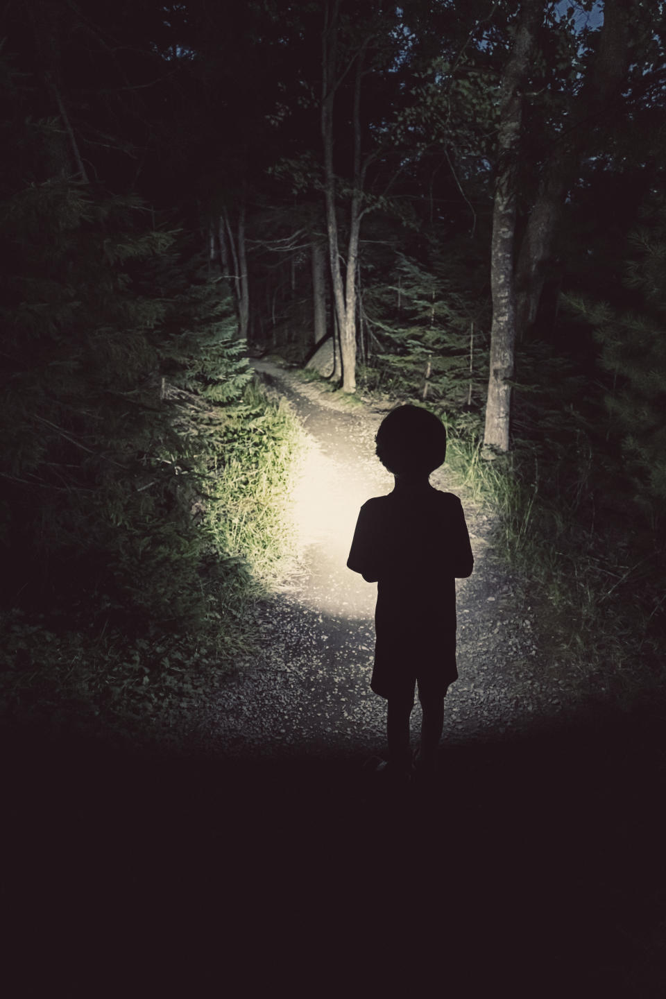 Silhouette of a child standing on a path in a dark, wooded forest, with light illuminating the way ahead