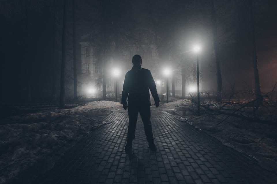 A person stands on a cobblestone path in a foggy, dimly lit park at night, illuminated by streetlights in the background. Their features are obscured