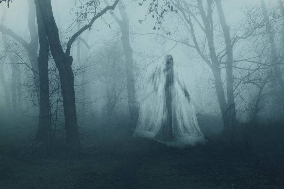 A spectral figure in a misty forest, wearing a flowing, ethereal gown, appears ghostly among leafless trees and dense fog