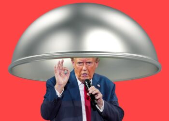 Perhaps the Most Ridiculous Trump Idea Yet – Mother Jones