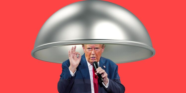 Perhaps the Most Ridiculous Trump Idea Yet – Mother Jones