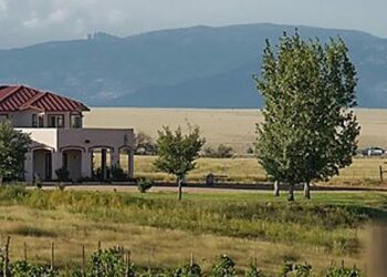 Award-winning southern Arizona wineries in Sonoita, Willcox and more